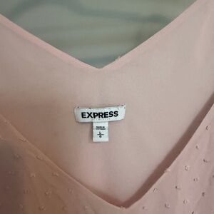 Express Blush V-Neck Blouse